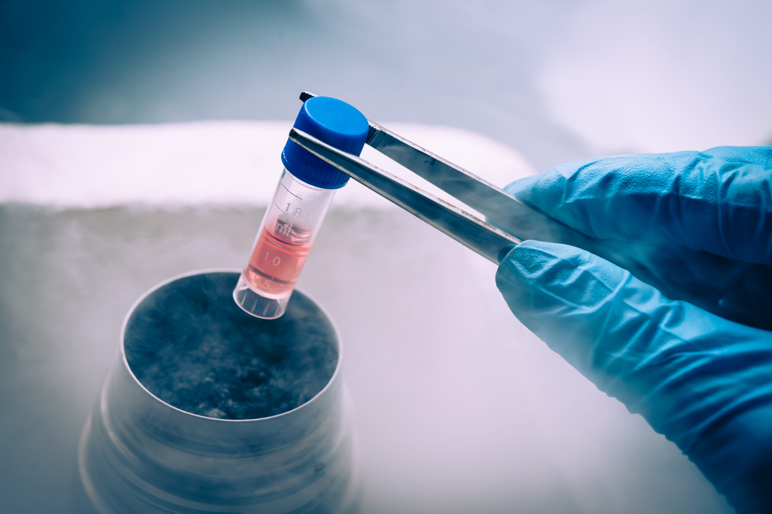 The Future of Cord Blood Research